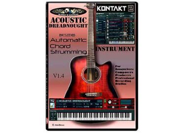 Audiowarrior Acoustic Dreadnought