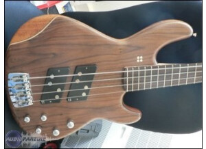 Sandberg (Bass) Panther Special 4