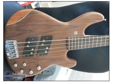 Sandberg (Bass) Panther Special 4