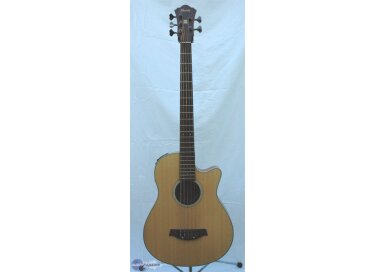 Ibanez AEB305E