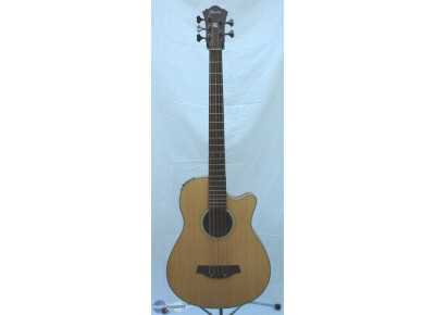 Ibanez AEB305E