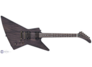 Edwards E-EX-110D