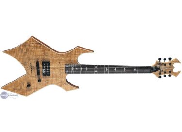 B.C. Rich Warlock Exotic