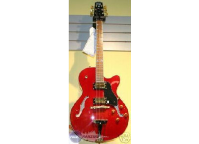 Hamer Grand Ole Opry style ES 175