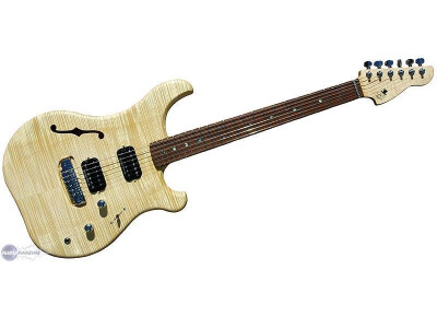 Rees Electric Guitars F2