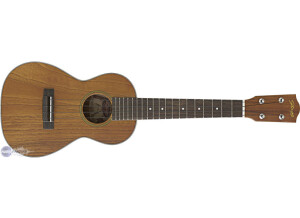 Stagg UC70-S