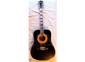 Ibanez Concord 752