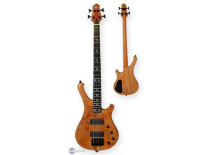 WSL Guitars Play Me Fonky 4