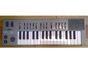 Yamaha CS01