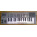See the photo of the Yamaha CS01 Yamaha CS01