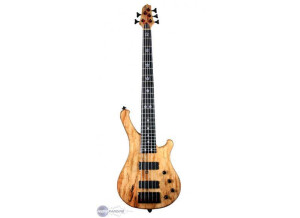 WSL Guitars Play Me Hard 5