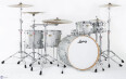 Ludwig Centennial Series Maple Drums