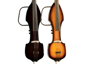 Palatino Electric Upright Bass