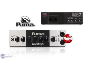 Tec-Amp Puma 350