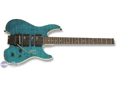 Steinberger Spirit GU-7R Custom