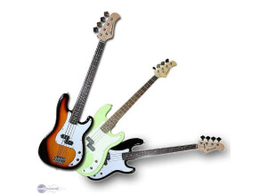 Santander Precision Bass