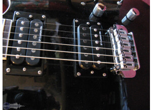 SP Custom Handwound Pickups ChaosLand Lite