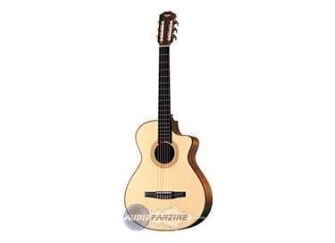 Taylor NS52-CE