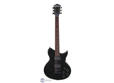 Washburn WI200 Pro