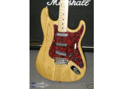 Bill Lawrence USA Swampkaster S