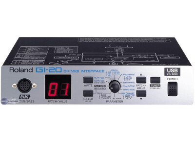 Roland GI-20