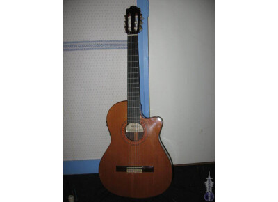 Almansa 435 cutaway thin body