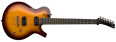 Parker Guitars PM20