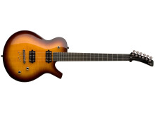 Parker Guitars PM-20