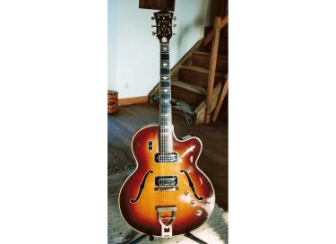 Hofner Guitars Commitee