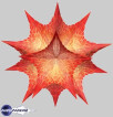 Wolfram Research Mathematica 6
