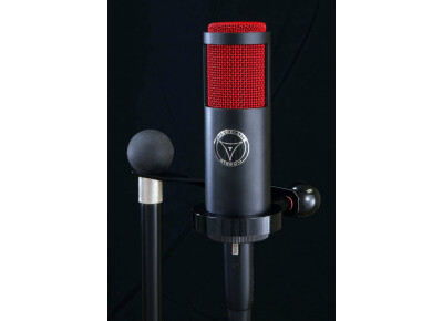 Crowley And Tripp Naked Eye Roswellite