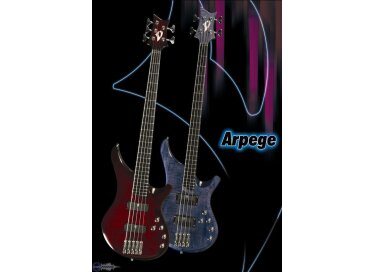 Vigier Arpege 2008