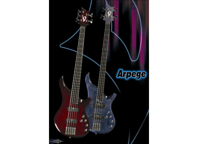 Vigier Arpege 2008