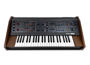 Korg MaxiKorg 800 DV