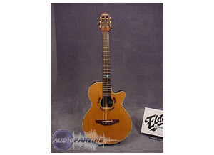 Takamine PSF35C