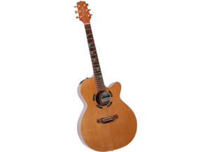 Takamine LTD1993