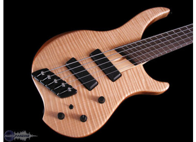 Dingwall Afterburner I 4-String