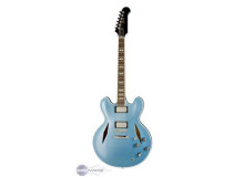 Gibson DG 335 - inspired by Dave Grohl