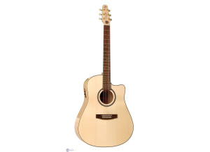 Seagull 25th Anniversary CW Flame Maple EQ