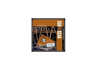Soundscan 15-Acoustic Percussions