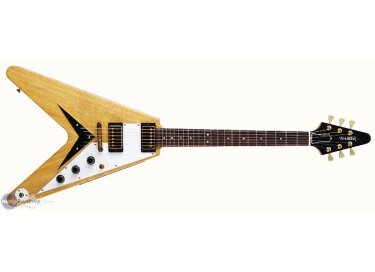 Hamer Vector Korina