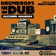 Loopmasters Drum Drops in Dub Vol 2 Pack 2
