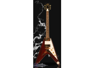 Custom77 Surfin Bird