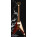 See the photo of the Custom77 Surfin Bird Custom77 Surfin Bird