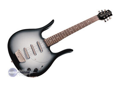 Danelectro Longhorn Guitar BB