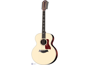 Taylor 855