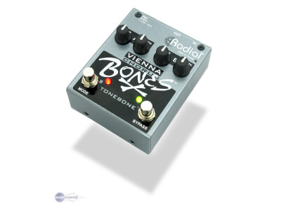 Radial Engineering Bones Vienna Chorus