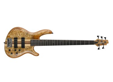 Cort Artisan A5-Custom SP