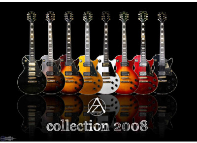 WSL Guitars AZ Les Paul Type