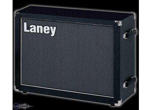 Laney GS212PE